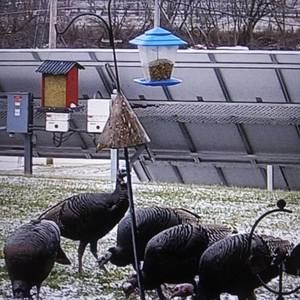 Meet your Posher, Loren